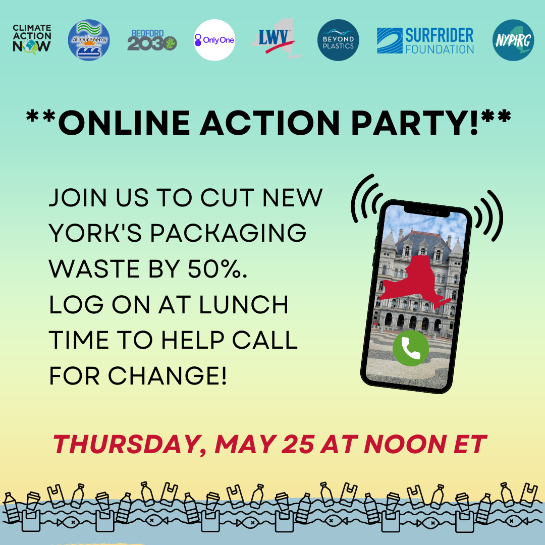 Online Action Party: Lunchtime Power Hour To Pass Packaging Reduction in NYS!