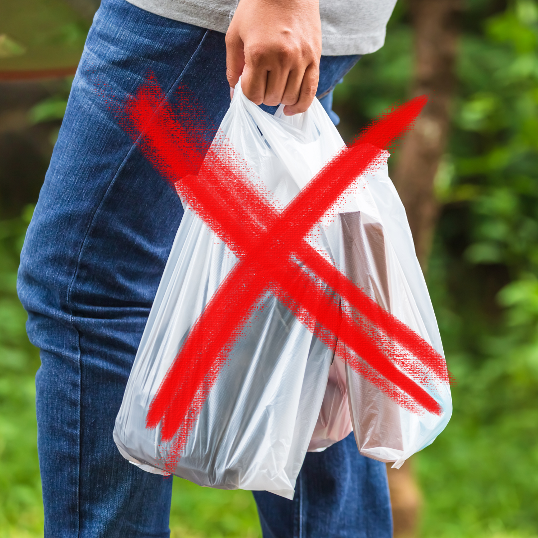 🛍️🥤Banning Single-Use Plastic Bags, Polystyrene &amp; Making Straws Available Upon Request in Upper Moreland, PA! 🗳️