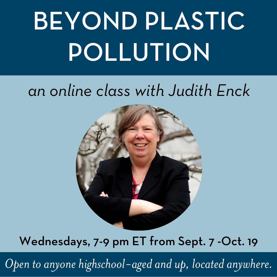 Beyond Plastic Pollution Virtual Class | FALL 2022
